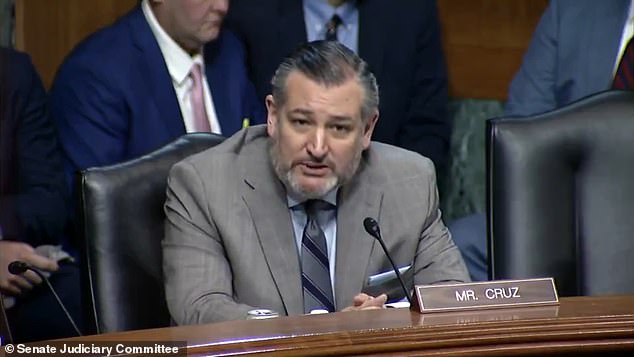 Sen. Ted Cruz of Texas became testy during a back-and-forth with a Biden nominee on Wednesday