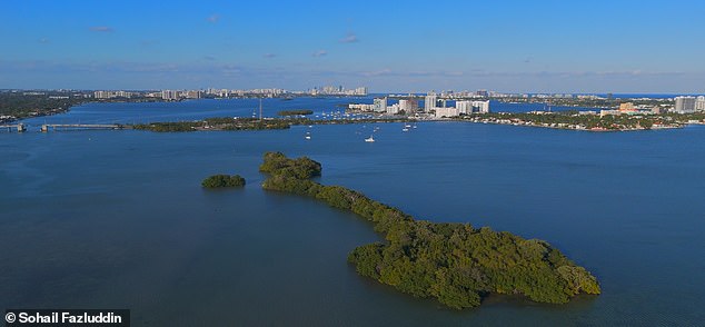 Pictured: The $31.5 million island, Bird Key, is for sale.  The city of Miami can be seen in the background
