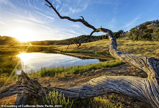 California State Parks says the area in the middle of the Sacramento Valley is full of 