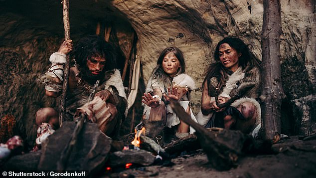 We once lived among Neanderthals, but they disappeared about 40,000 years ago.  The reasons for their demise vary, but experts have suggested that interbreeding, climate change and violent collisions with humans may be the cause (stock image)