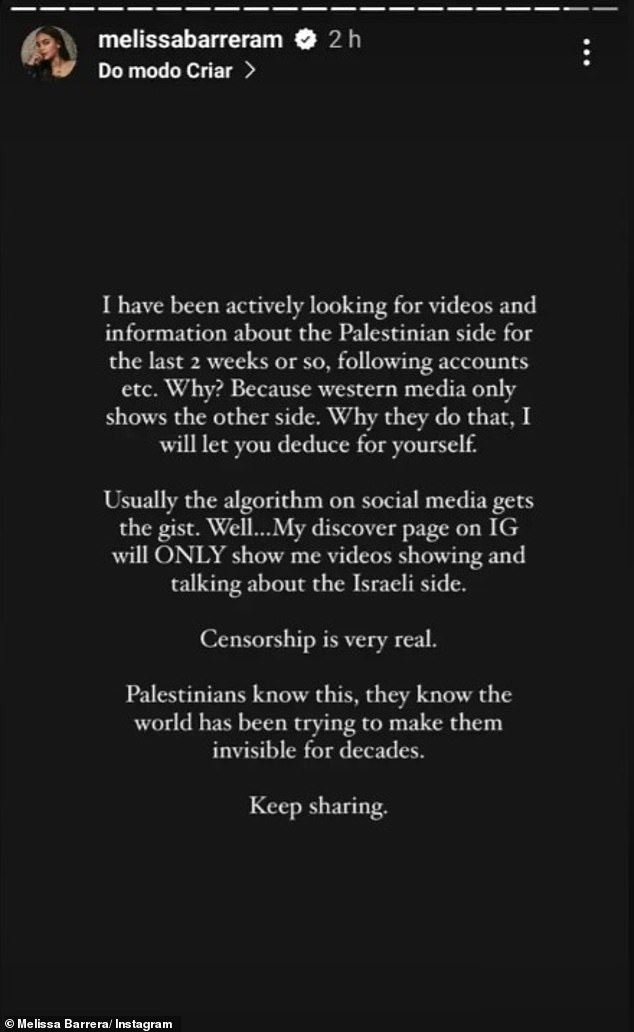 Another post complained that she was looking for videos from a Palestinian perspective to share but couldn't find any in her feed