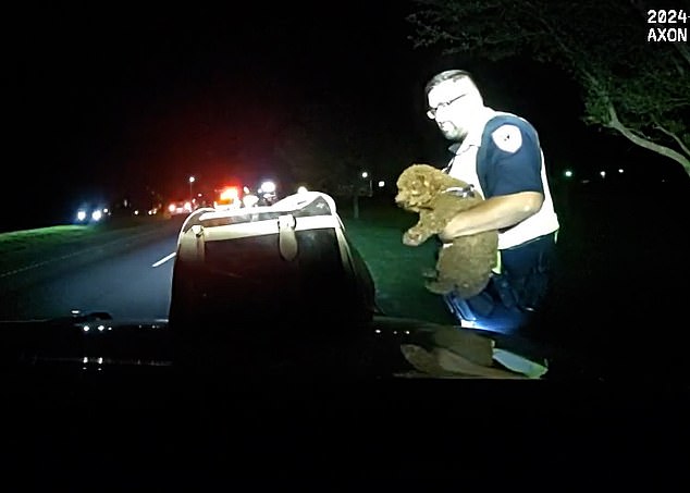 Dennis was traveling with her golden doodle puppy 'Lil Gucci', which she placed in the back of the police patrol vehicle during these tests