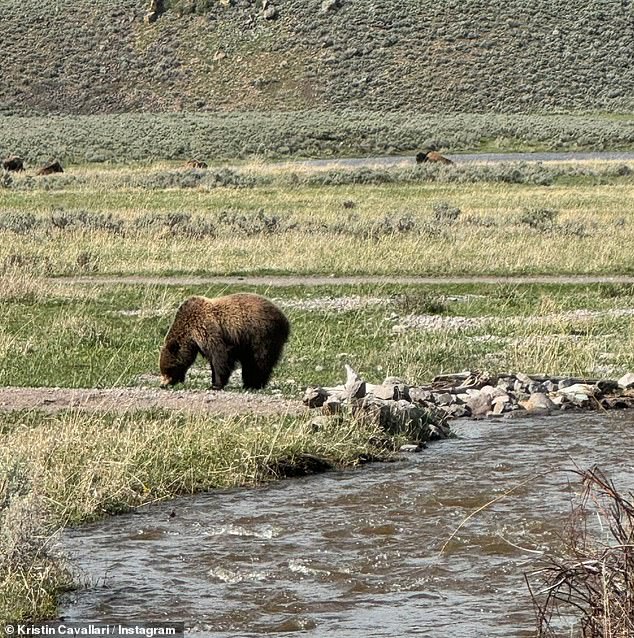 She captured the atmosphere of the Montana wilderness in her photos