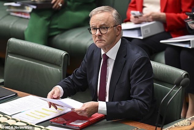 Prime Minister Anthony Albanese (photo) is the only member of the Cabinet Budget Committee with a degree in economics