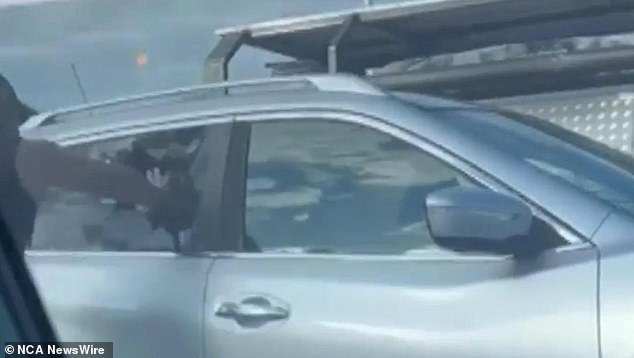 The man was seen putting his hand through the window into the back seat