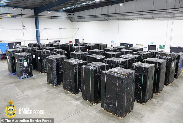 Australian Border Force officers found 18 pallets of plastic-wrapped cardboard boxes containing 174,960 disposable vapes (pictured) in just one bust