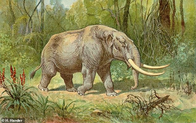 The mastodon lived 5.4 million years ago until it became extinct 10,000 years ago.  It is a distant relative of today's elephant