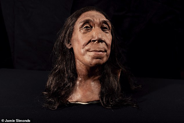 About 75,000 years ago, a middle-aged Neanderthal woman was buried in a cave in the foothills of Iraq.  Thanks to a dedicated team of archaeologists, her face can now be revealed for the first time