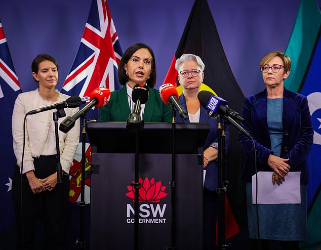 NSW Deputy Prime Minister Prue Car (centre) announced a housing package on Friday to help women fleeing domestic violence.  The details will be announced next week