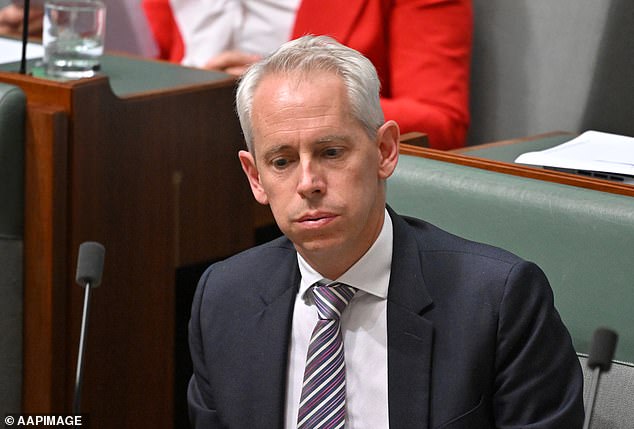 Immigration Minister Andrew Giles (pictured) is under pressure after allowing a child molester to stay in Australia because of family ties