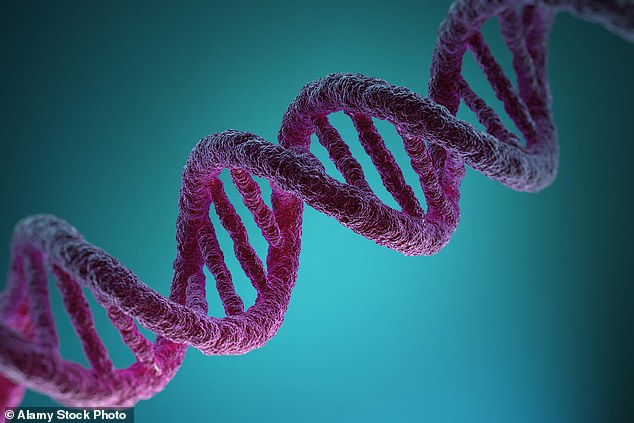 Ancient viruses are still in human DNA, but a new discovery has found that some may contribute to psychiatric disorders.  Scientists from King's College London have identified five 'fossil viruses' linked to depression, schizophrenia and bipolar disorder