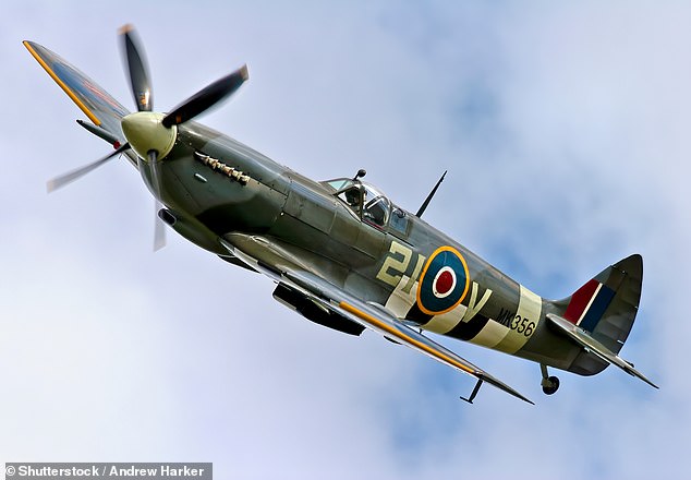 Pilot is killed in Spitfire crash Tragedy as WW2 aircraft