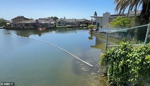 A California property in the Bay Area is selling for a bargain at $400,000