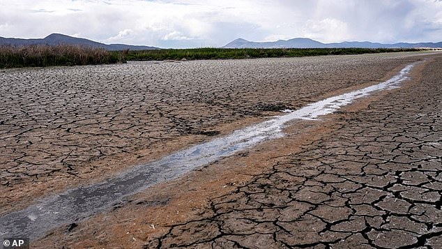 The California River was found to be near depletion with a 98 percent probability - the highest probability of any watershed