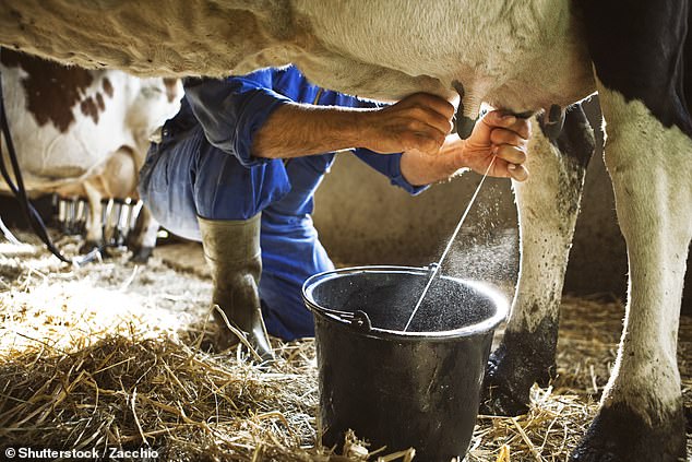 About 70 Americans in Colorado are being monitored for bird flu due to possible exposure