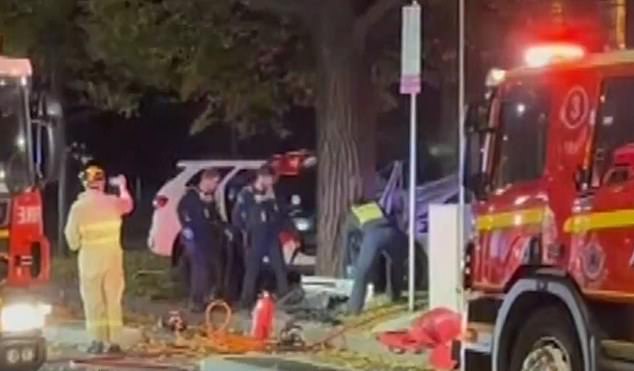Emergency services rushed to the scene in St Kilda, in Melbourne's south-east, after the driver crashed into a tree about 5.30am on Friday (the scene is pictured)