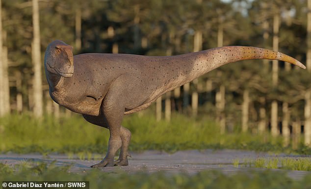 If you thought T.Rex had short arms, wait until you see this newly discovered dinosaur.  A carnivorous species called Koleken inakayali roamed the Earth 70 million years ago and had even smaller forelimbs than the 'King of the Dinosaurs'