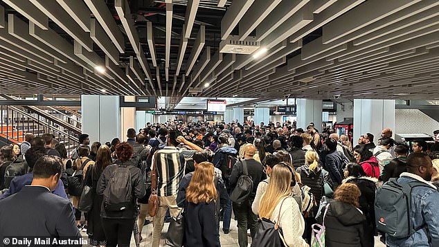 Huge crowds of frustrated commuters could be seen waiting for updates at Wynyard Station in the city's CBD (pictured)