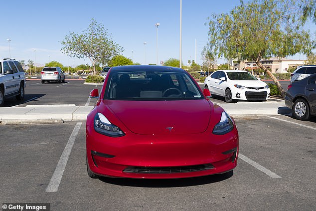 Tesla has manual door releases that are designed to be used when the vehicle has no power, but she decided to wait in case she damaged her car