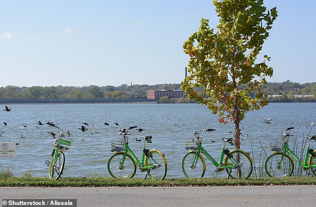 After sewage leaks into White Rock Lake, outdoor recreational activities have been suspended until water levels are safe