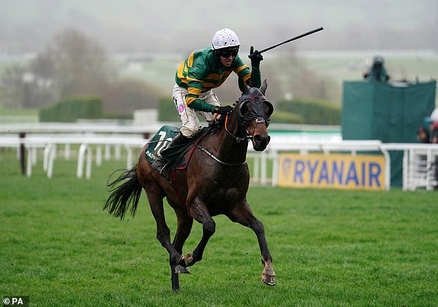 Father Du Berlais suffered a fatal injury during the Champion Stayers Hurdle on Thursday