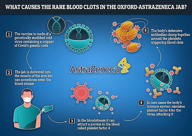 Researchers believe the rare side effect occurs because the modified cold virus lurking in the jab has an adverse effect on platelets in the blood, causing clotting.