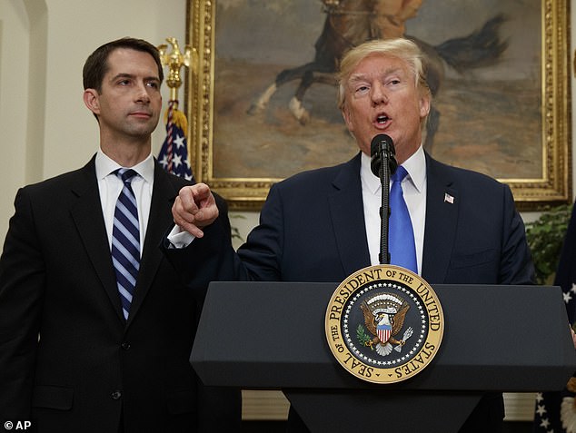 Former President Donald Trump (right) is considering choosing Sen. Tom Cotton (left) of Arkansas as his running mate — a choice that would be safe and not rock the boat.  Cotton is a 47-year-old Army veteran.  The two were pictured together at the White House in August 2017