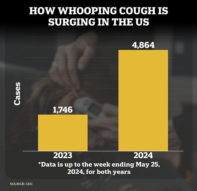 The graph above shows the number of whooping cough cases in 2023 and 2024 in the week ending May 25 in both years