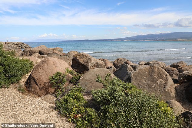 Naturist couples will soon be able to get married in the wild on Is Benas beach (pictured) in Sardinia.  The six kilometer long beach has been a nudist hotspot for years