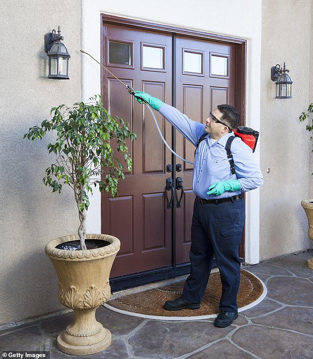 A pest control specialist is seen spraying the exterior of a house