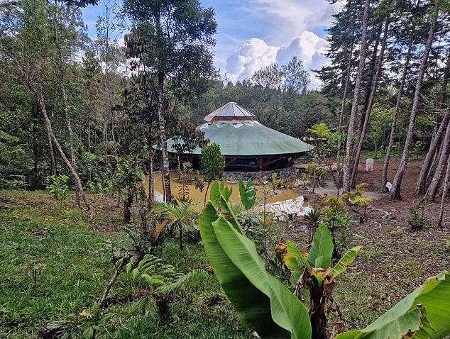 Alex first tried ayahuasca at the Ambi Retreat in Colombia, pictured above, where he said babies and children as young as six also tasted the drug