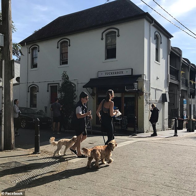 Commuters at Woollahra Council have cracked down on small businesses and affluent residents of Underwood Street in inner Sydney's Paddington after a complaint was made about plants and furniture on the upmarket street (pictured: Tuckerbox cafe which was fined got about $1,500 for painting boxes for customers to sit on)