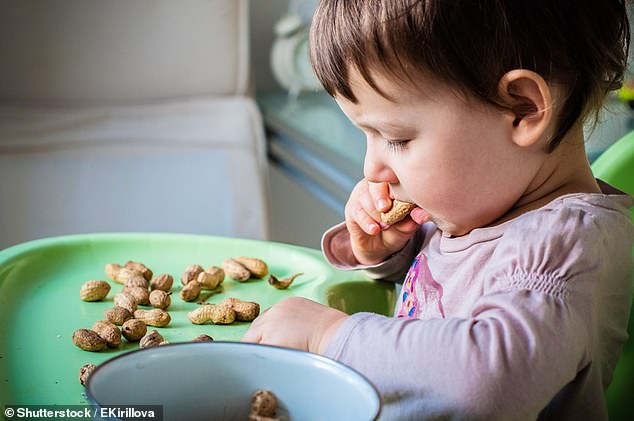 Researchers from Kings College London found that regular peanut consumption from childhood to the age of five reduced the number of peanut allergies by 71 percent