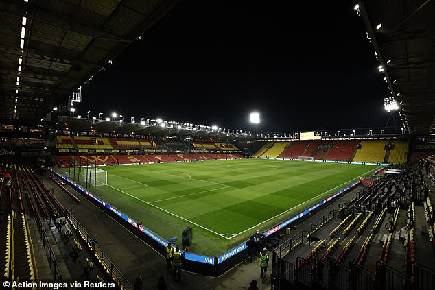 Watford had approached the heavyweight boxer about a deal to buy a share in the club