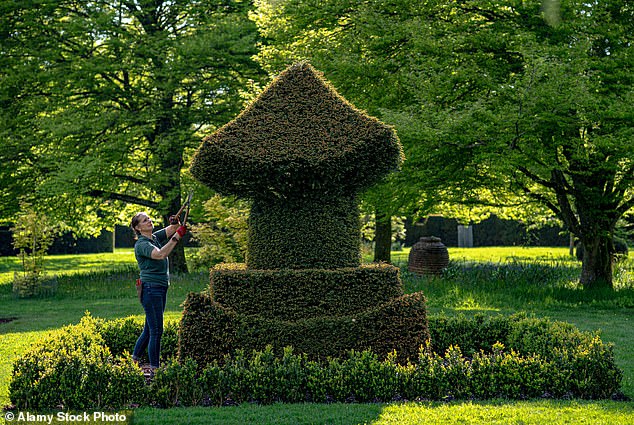 A gardener took care of an impressive topiary last month, ahead of World Topiary Day