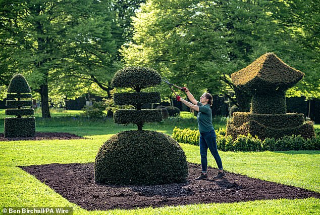 A gardener tends a topiary at the private residence of King Charles III and Queen Camilla in the Highgrove Gardens, May 2024