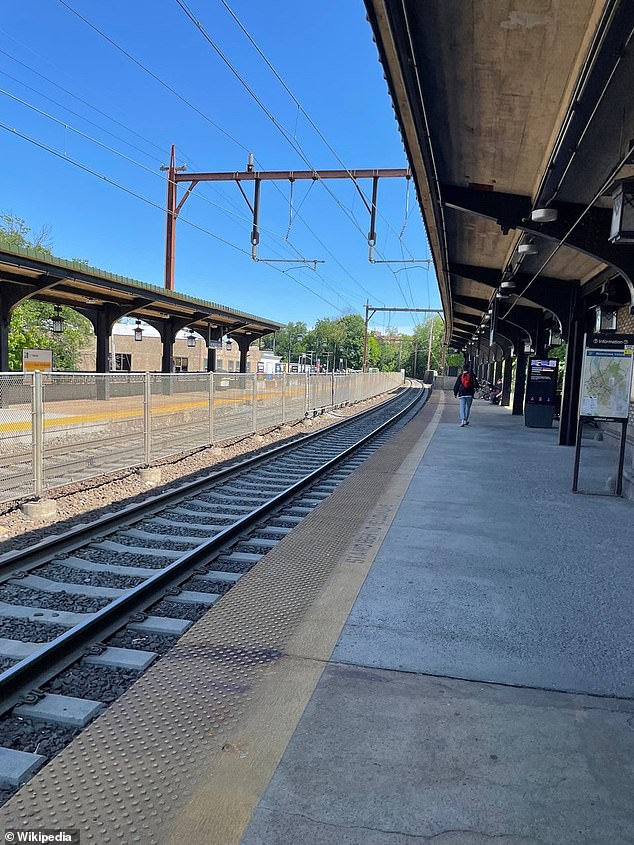 Fitzgerald was left clinging to a platform wall after she was hit by a New Jersey Transit train at the Morristown train station, seen here