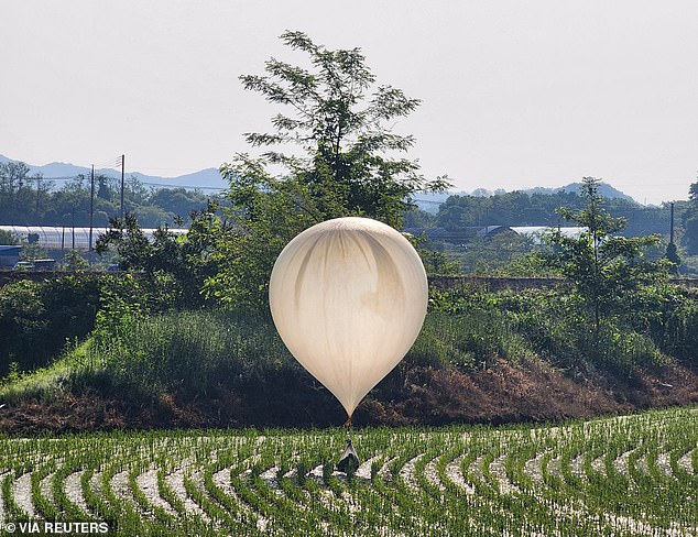 A balloon believed to have been sent by North Korea and containing several objects, including what appeared to be trash and feces, was spotted above a rice field in Cheorwon, South Korea, on Wednesday.