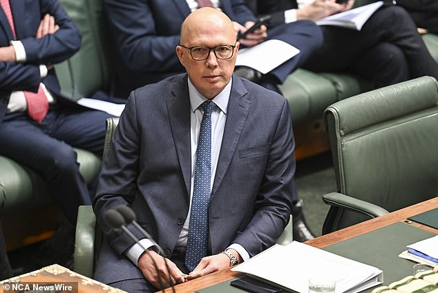 Pathological hatred?  Labor can't hide how much it loathes Peter Dutton (pictured), clouding the Prime Minister's judgement