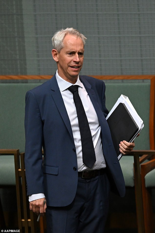 Immigration Minister Andrew Giles (pictured) has tried to blame everyone but himself for his mistakes in preventing rapists from being deported