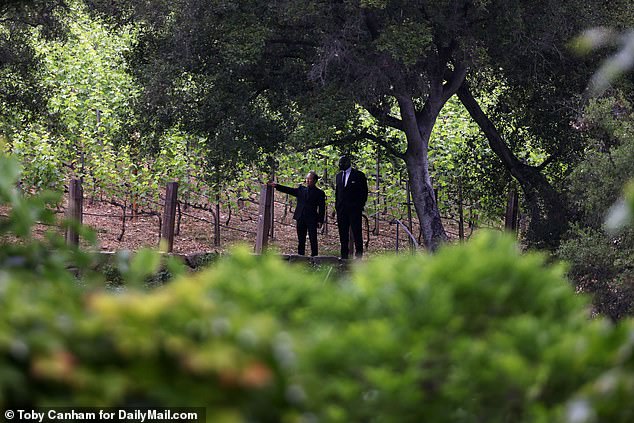 In one photo, two men appear to be standing along the edge of the vineyard.  One of the men points, possibly to make sure no wedding details are overlooked