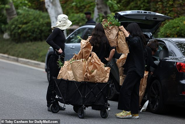 Leafy green flowers in brown paper bags were also removed from the van and transported to the property