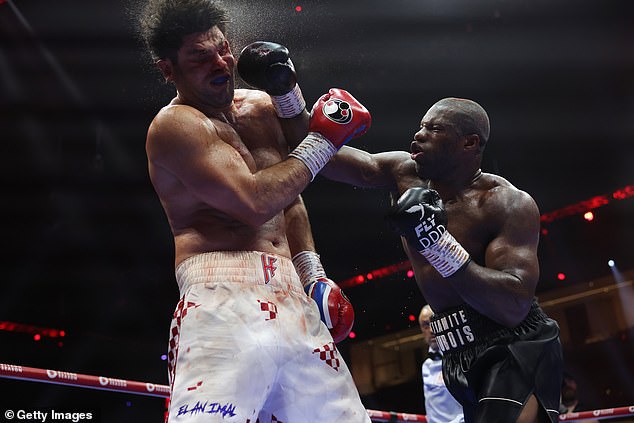 Daniel Dubois (right) claimed the interim IBF heavyweight title by stopping Filip Hrgovic