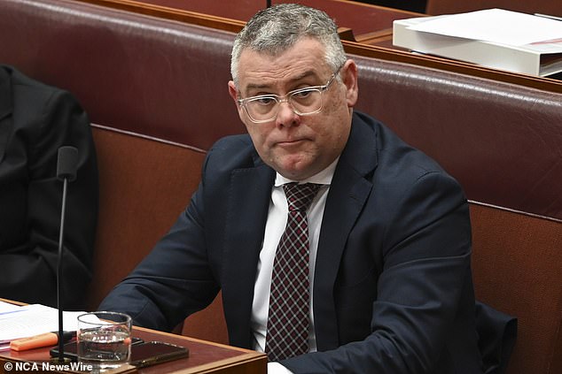 Queensland Senator Murray Watt (pictured) said on Sunday that the government did not intend to place community safety among community ties in its application of Direction 99, despite the AAT's interpretation of the matter.