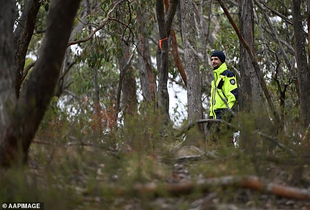 Police entered dense brush in April in an area about 16 miles from where Samantha Murphy disappeared