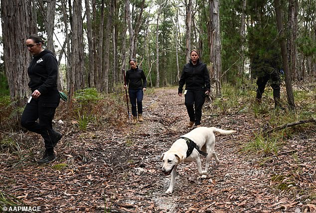 Specialized dogs that can find bodies have been deployed to assist the search