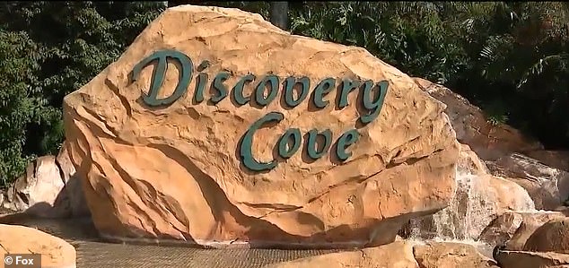 Anna Beaumont, 13, died just two days after she was found in Discovery Cove