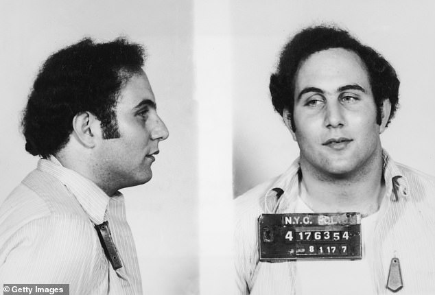 Police mugshot showing the front view and profile of convicted New York City serial killer David Berkowitz, known as the 'Son of Sam'