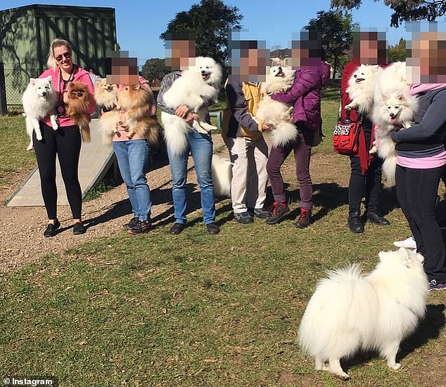 The 29-year-old is a dog trainer for the wealthy in Sydney's posh eastern suburbs