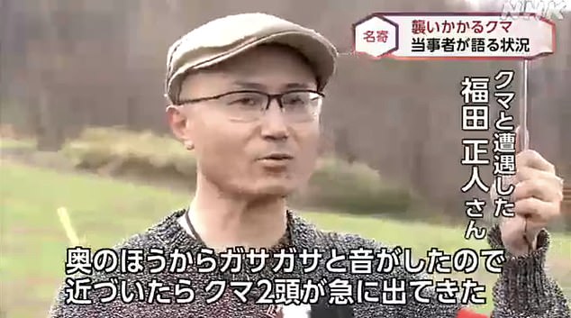 In April, Masato Fukuda was only slightly injured in his encounter with some bears on Thursday morning.  He is pictured here speaking to Japanese TV channel NHK